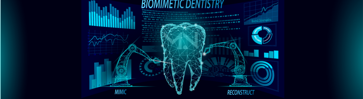 Holistic dentistry conservatively restores damaged portions of teeth.